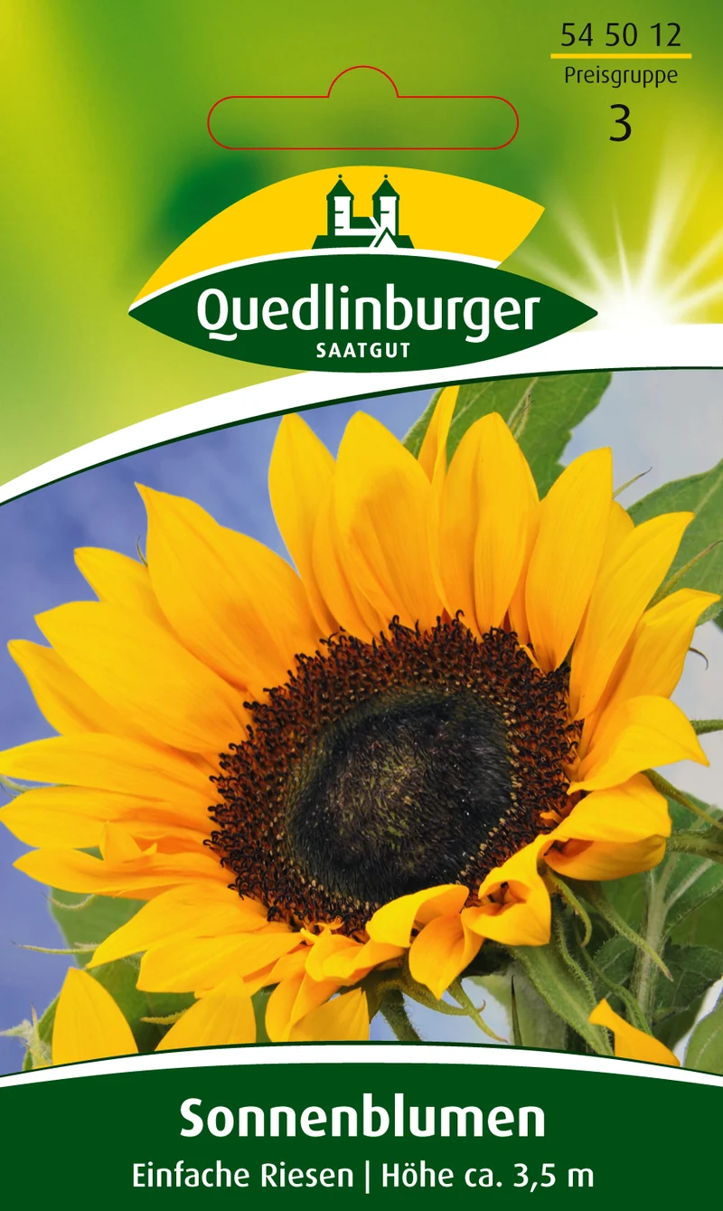 Sonnenblume Einfache Riesen Saatgut