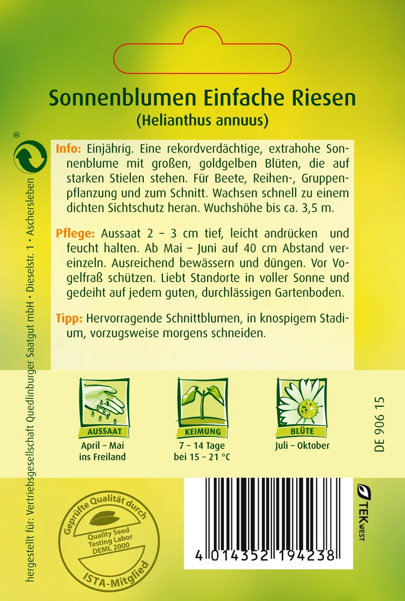 Sonnenblume Einfache Riesen Saatgut