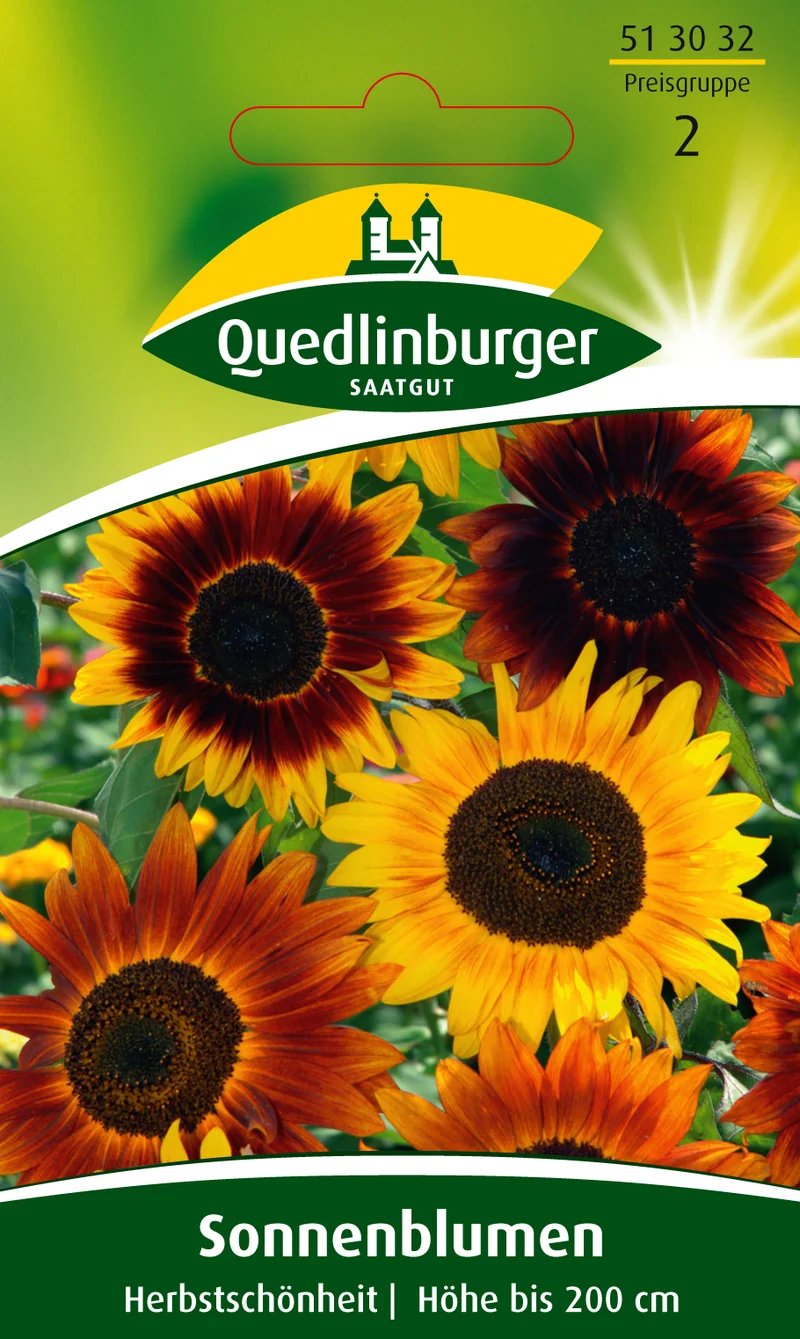 Sonnenblume Herbstschönheit Saatgut