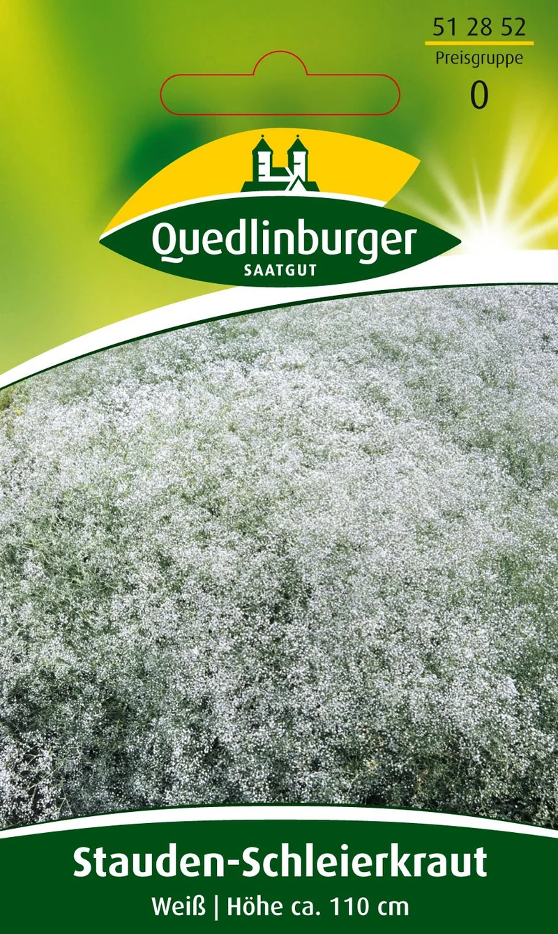 Stauden Schleierkraut Weiß Saatgut