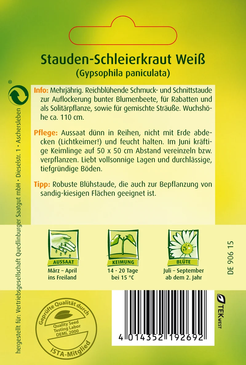 Stauden Schleierkraut Weiß Saatgut