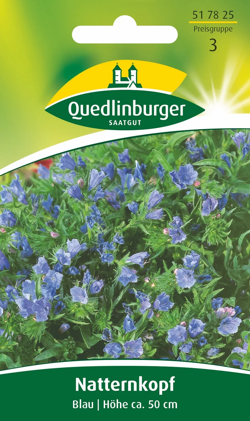 Natternkopf Blau Saatgut