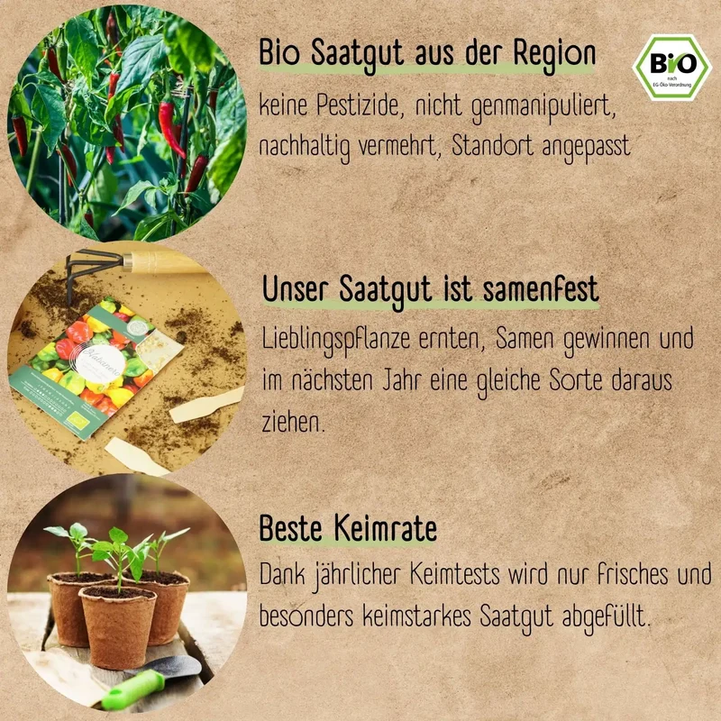 Bio Chili Anzucht Set