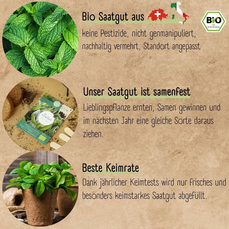 Bio Anzuchtset Geschenk