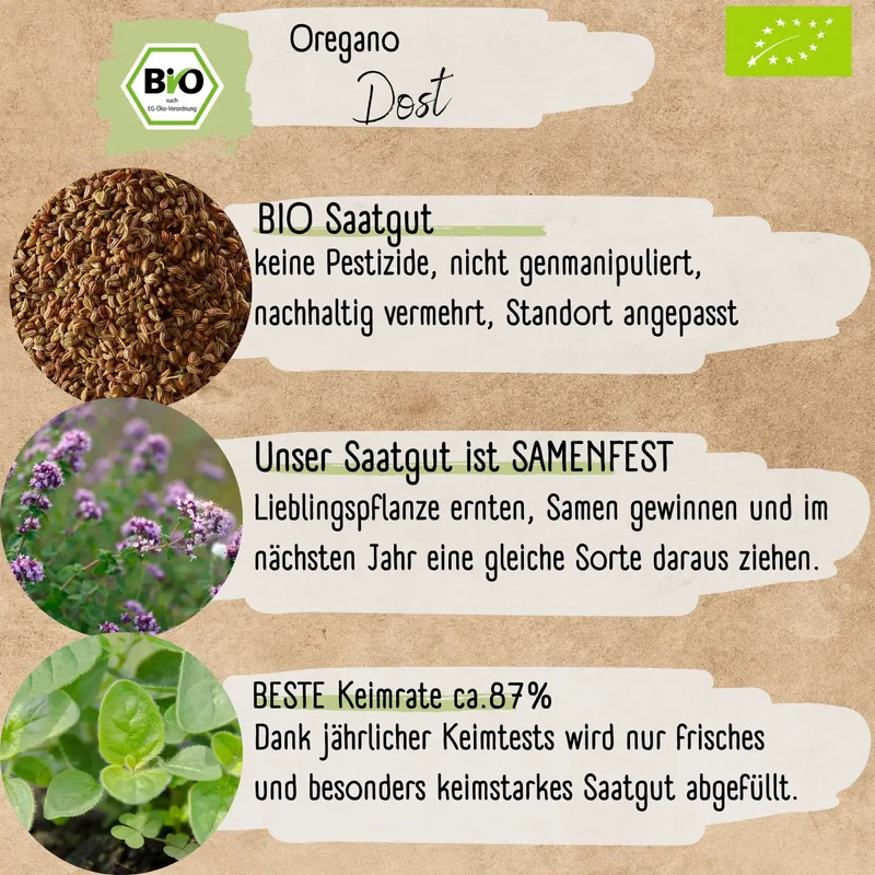 Bio Oregano Samen