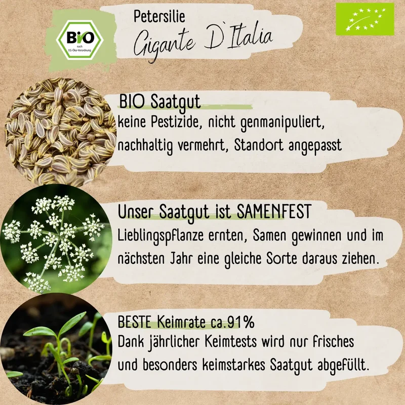 Bio Petersilie Samen