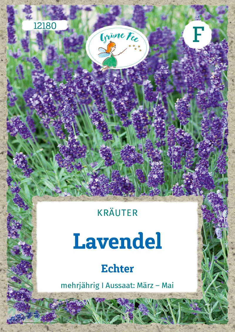 Lavendel Echter Saatgut