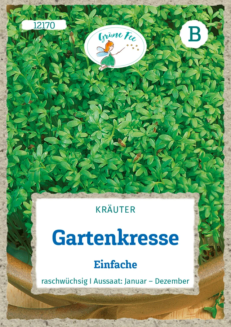 Gartenkresse Einfache Saatgut