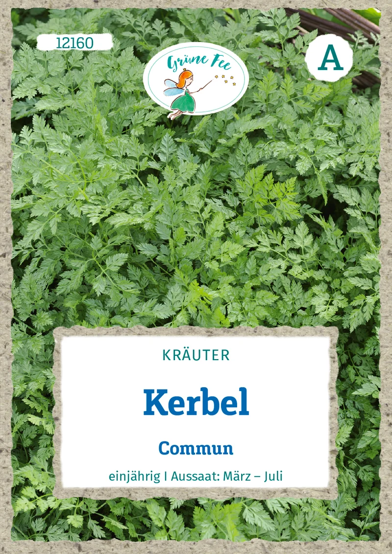 Kerbel Commun Saatgut