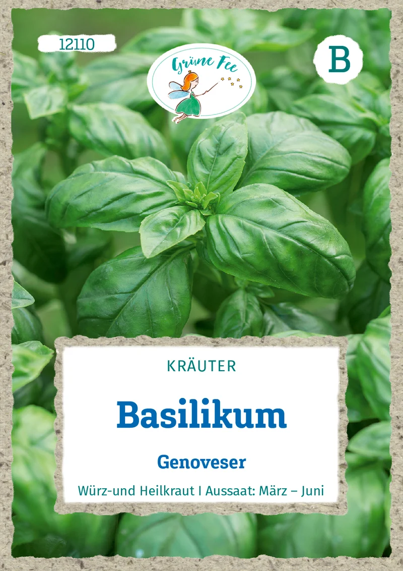 Basilikum Genoveser Saatgut