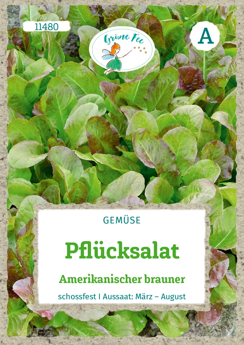 Pflücksalat Amerikanischer Brauner Saatgut