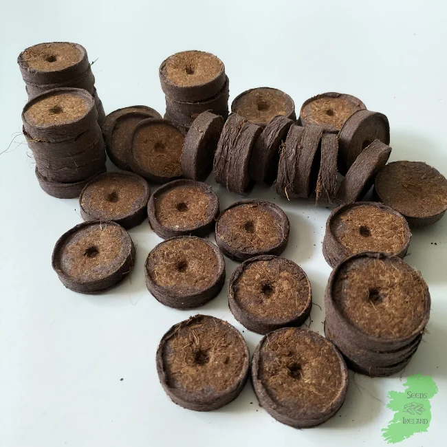 Peat Free Growing Discs - 50 Pack