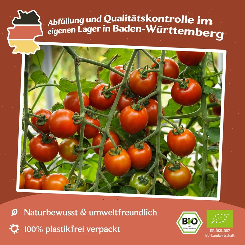 Zuckertraube Bio-Tomatensamen