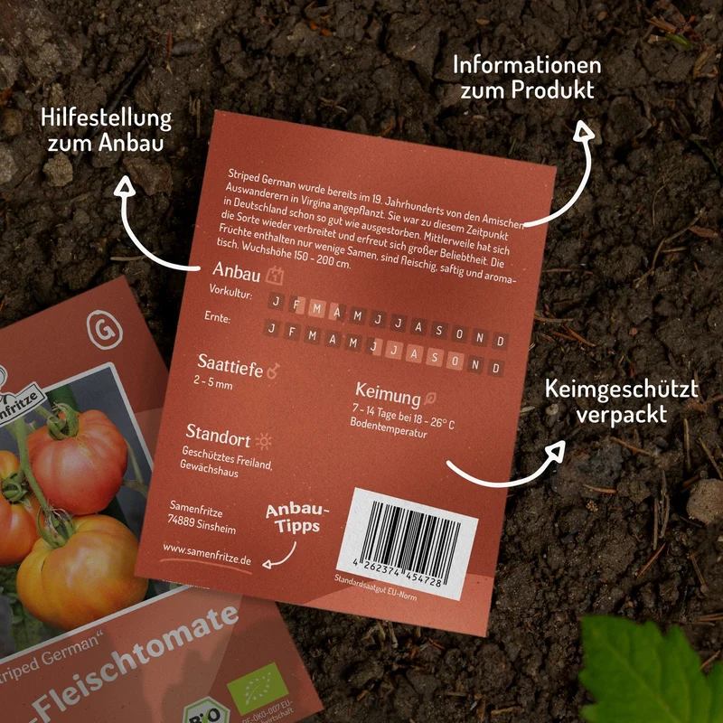 Striped German Bio-Tomatensamen