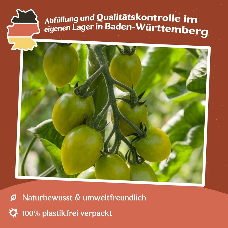 Green Envy Tomatensamen MHD 06/27