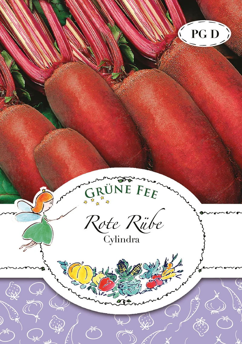 Rote Rübe Cylindra Saatgut