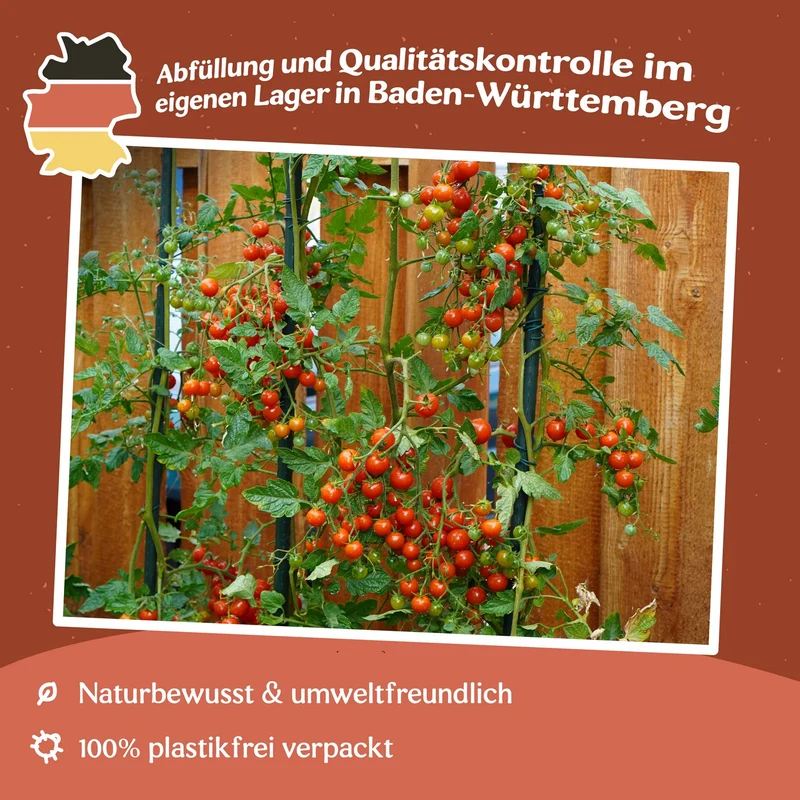 Sweetie Tomatensamen