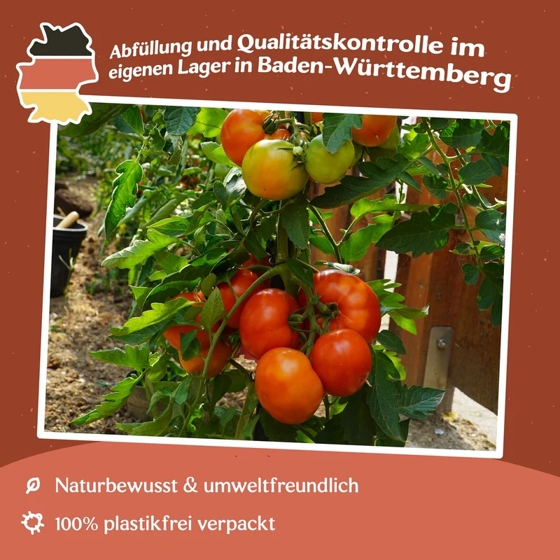 Oh Happy Day F1 Tomatensamen
