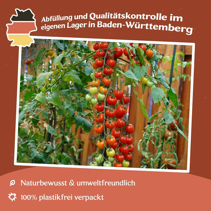 Jahodo Tomatensamen