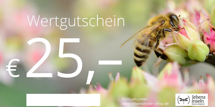 Wertgutschein 25€