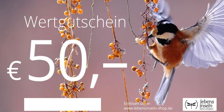 Wertgutschein 50€