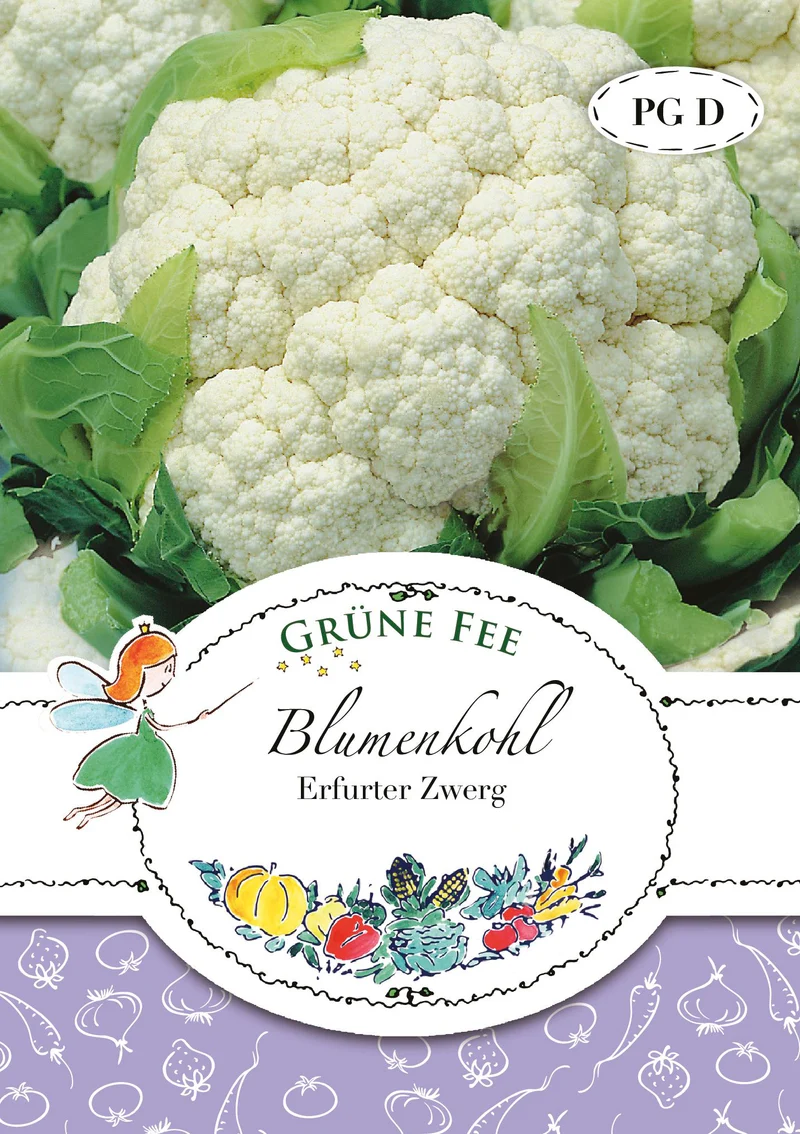 Blumenkohl Erfurt Saatgut