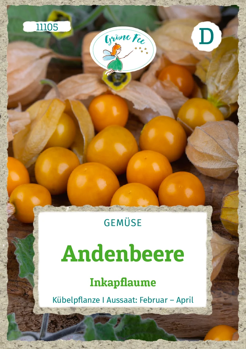 Andenbeere Inkapflaume Saatgut