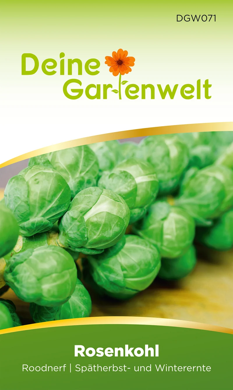 Rosenkohl Roodnerf Saatgut