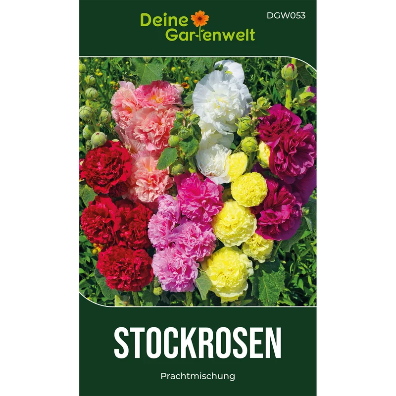 Stockrose Prachtmischung Saatgut