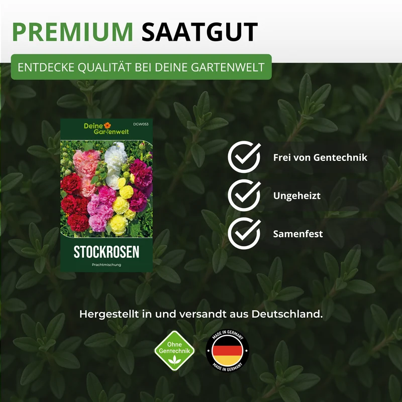 Stockrose Prachtmischung Saatgut