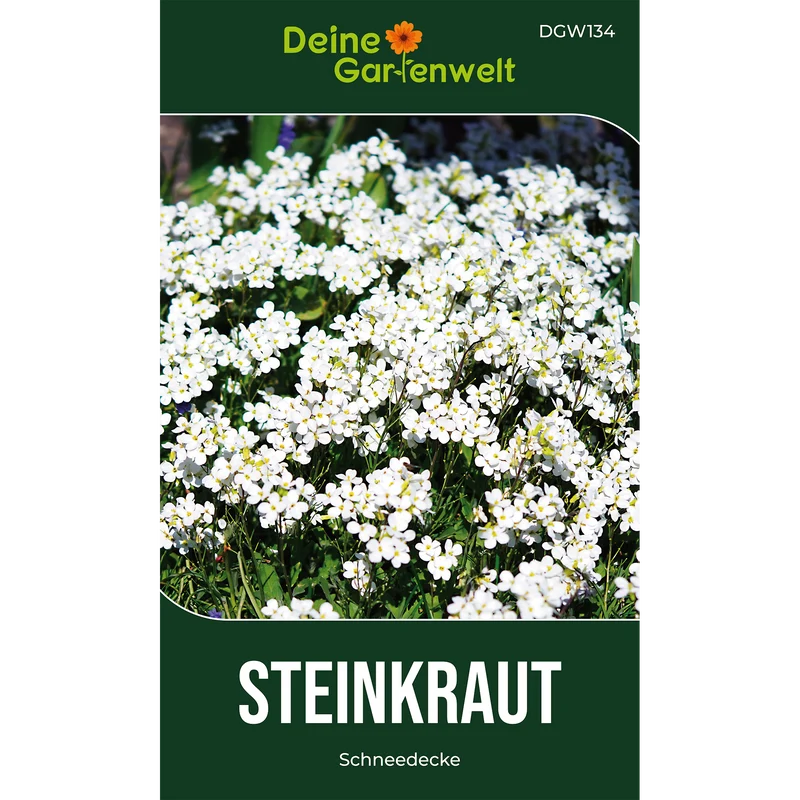 Steinkraut Schneedecke Saatgut