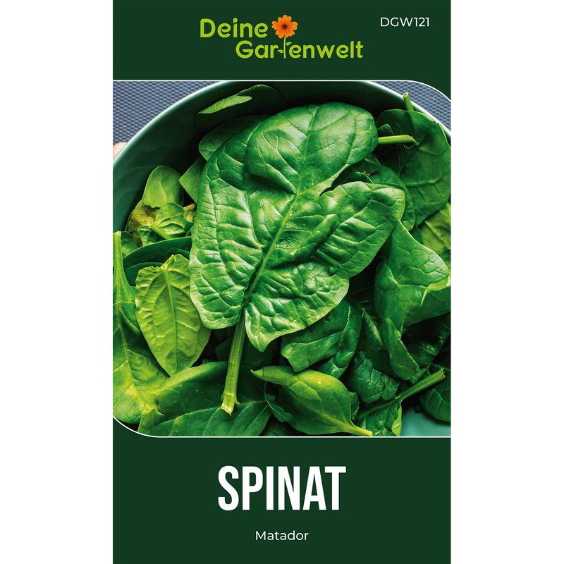 Spinat Matador Saatgut