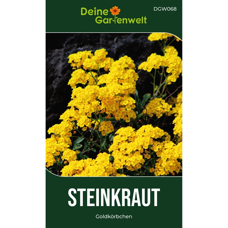 Steinkraut Goldkörbchen Saatgut