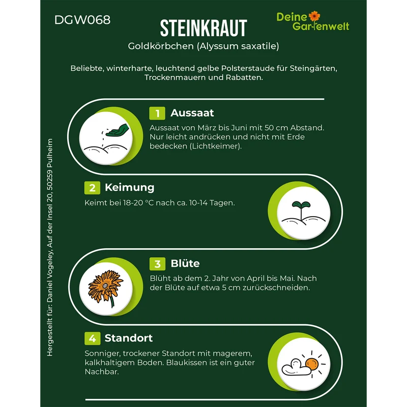 Steinkraut Goldkörbchen Saatgut