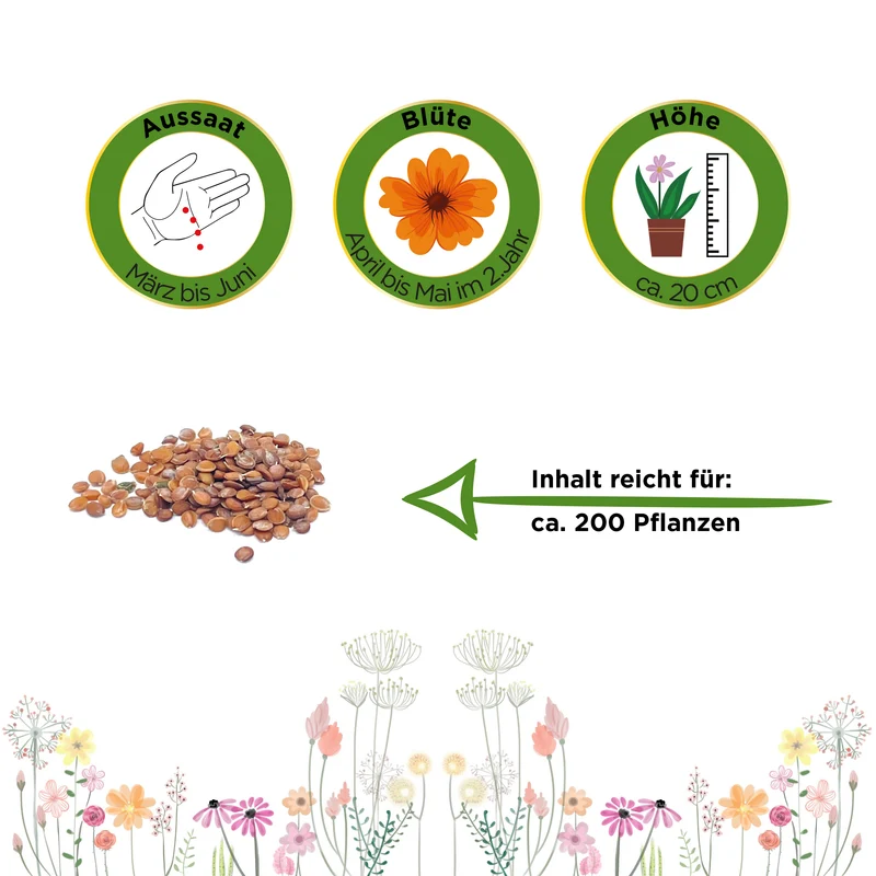 Steinkraut Goldkörbchen Saatgut