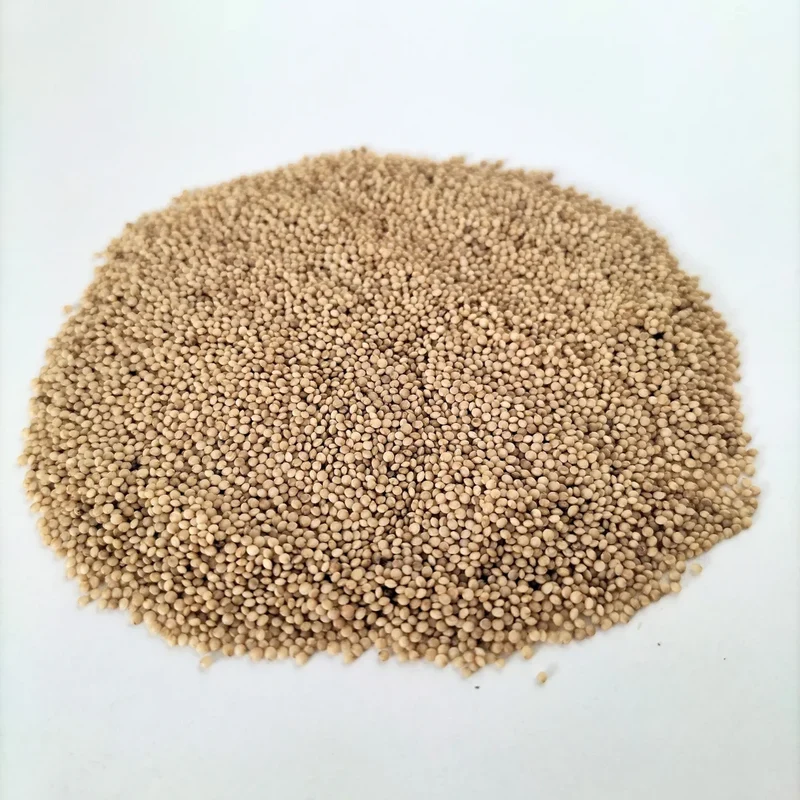 Organic Microgreen Seed: Red Amaranth