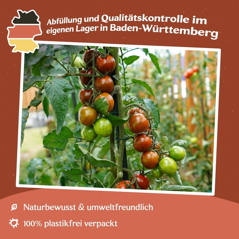 Tigrino Tomatensamen
