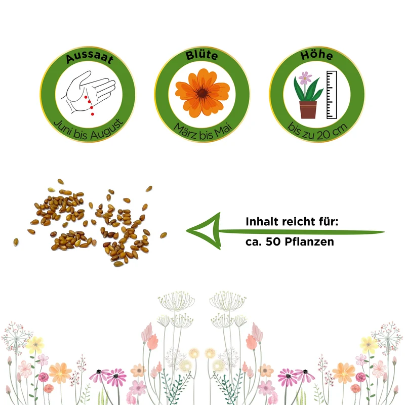 Stiefmütterchen Schweizer Riesen Mischung Saatgut