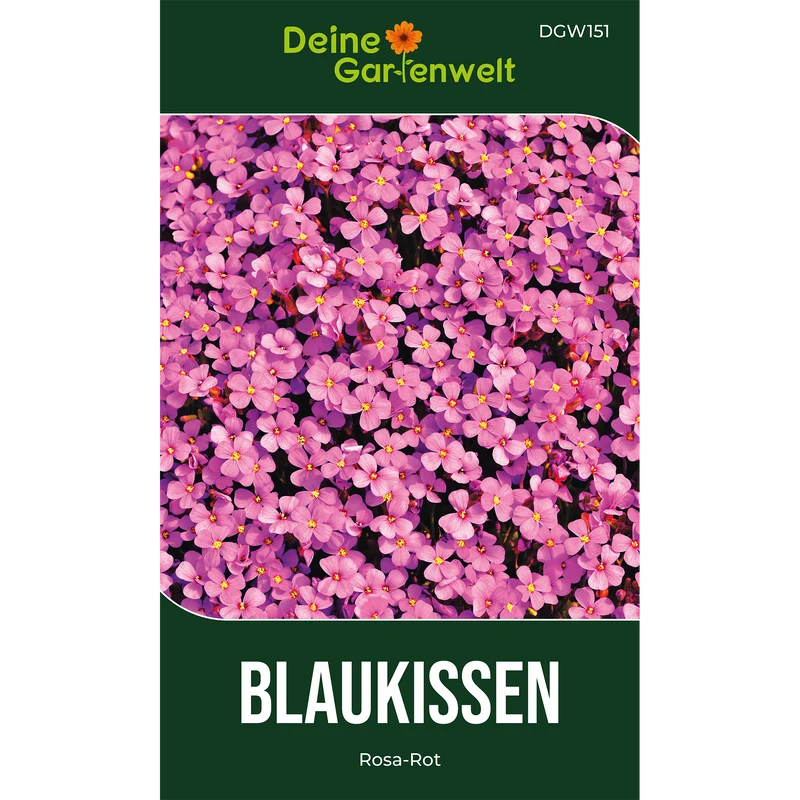 Blaukissen Rosa Rot Saatgut