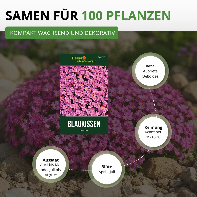 Blaukissen Rosa Rot Saatgut