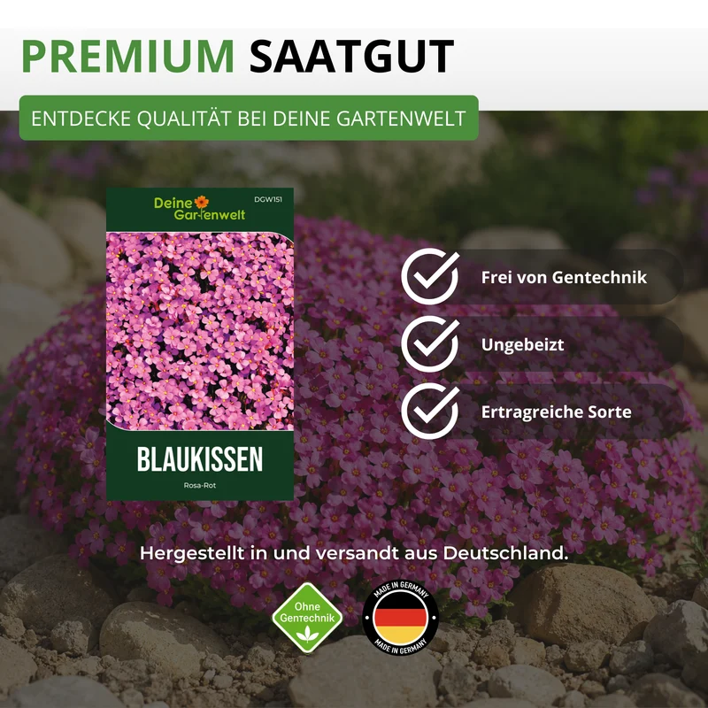 Blaukissen Rosa Rot Saatgut