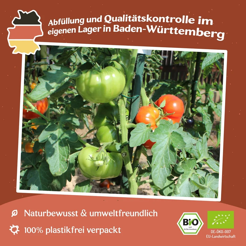 Marmande Bio-Tomatensamen
