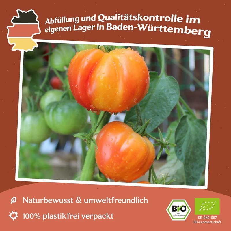 Oaxacan Jewel Bio-Tomatensamen