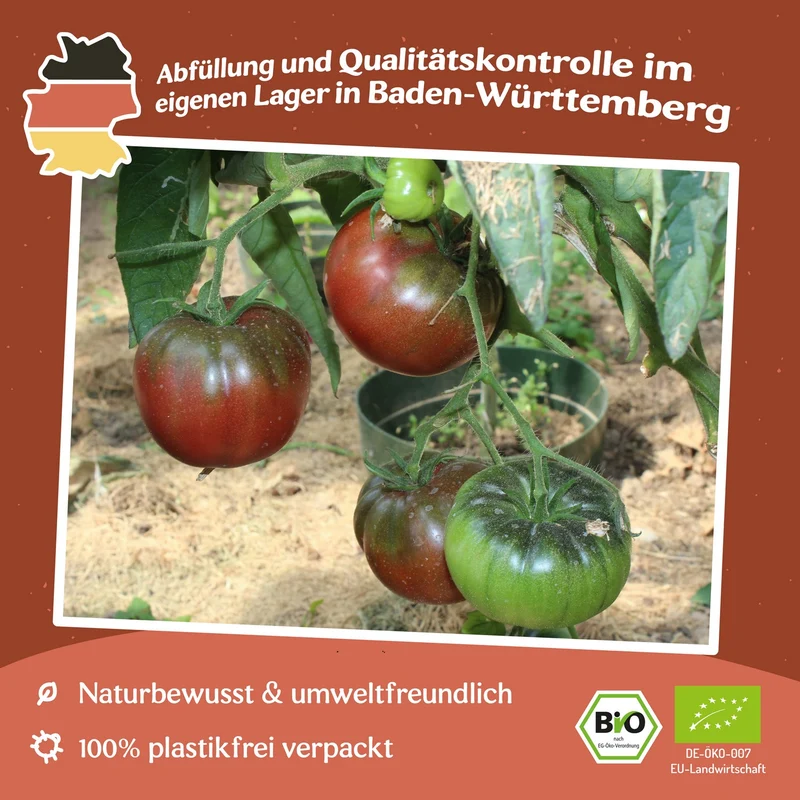 Noire Russe Bio-Tomatensamen