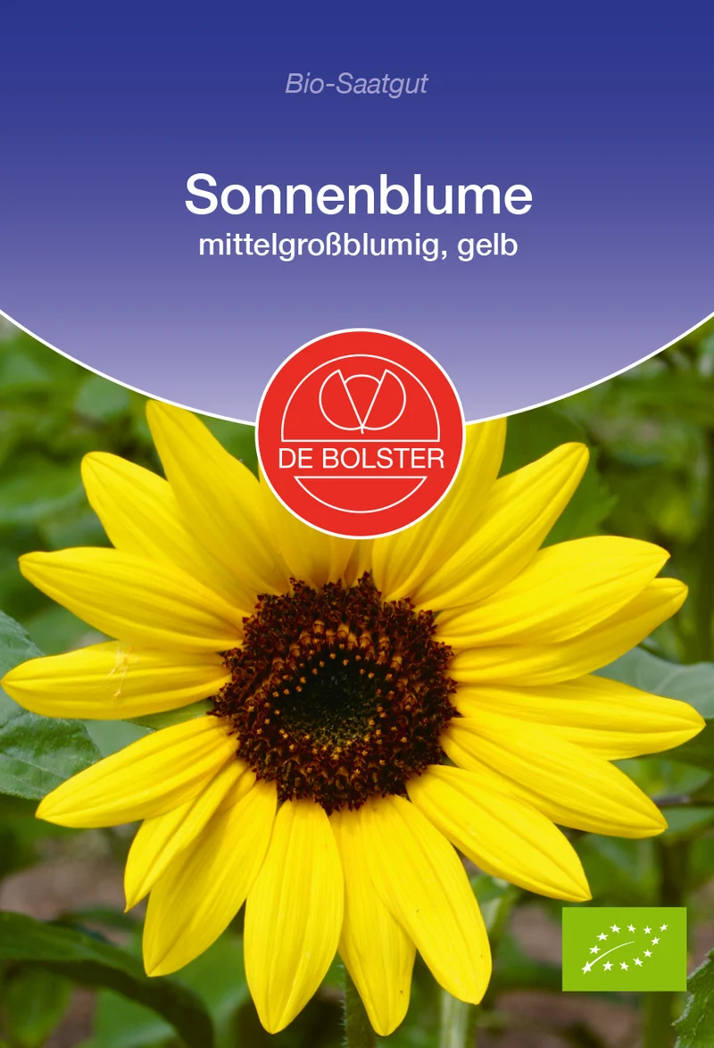 Sonnenblume mittelgroßblumig, gelb | BIO Sonnenblumensamen von De Bolster [MHD 12/2023]