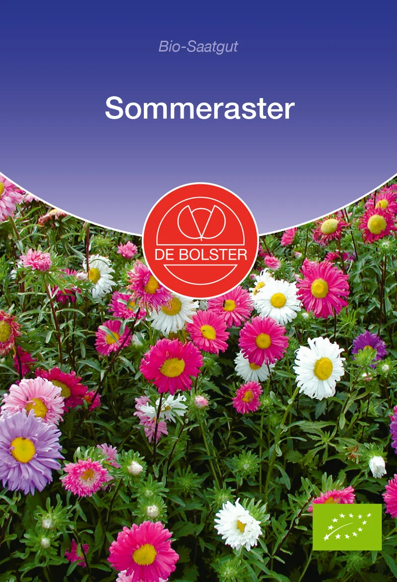 Sommeraster | BIO Asternsamen von De Bolster [MHD 12/2025]