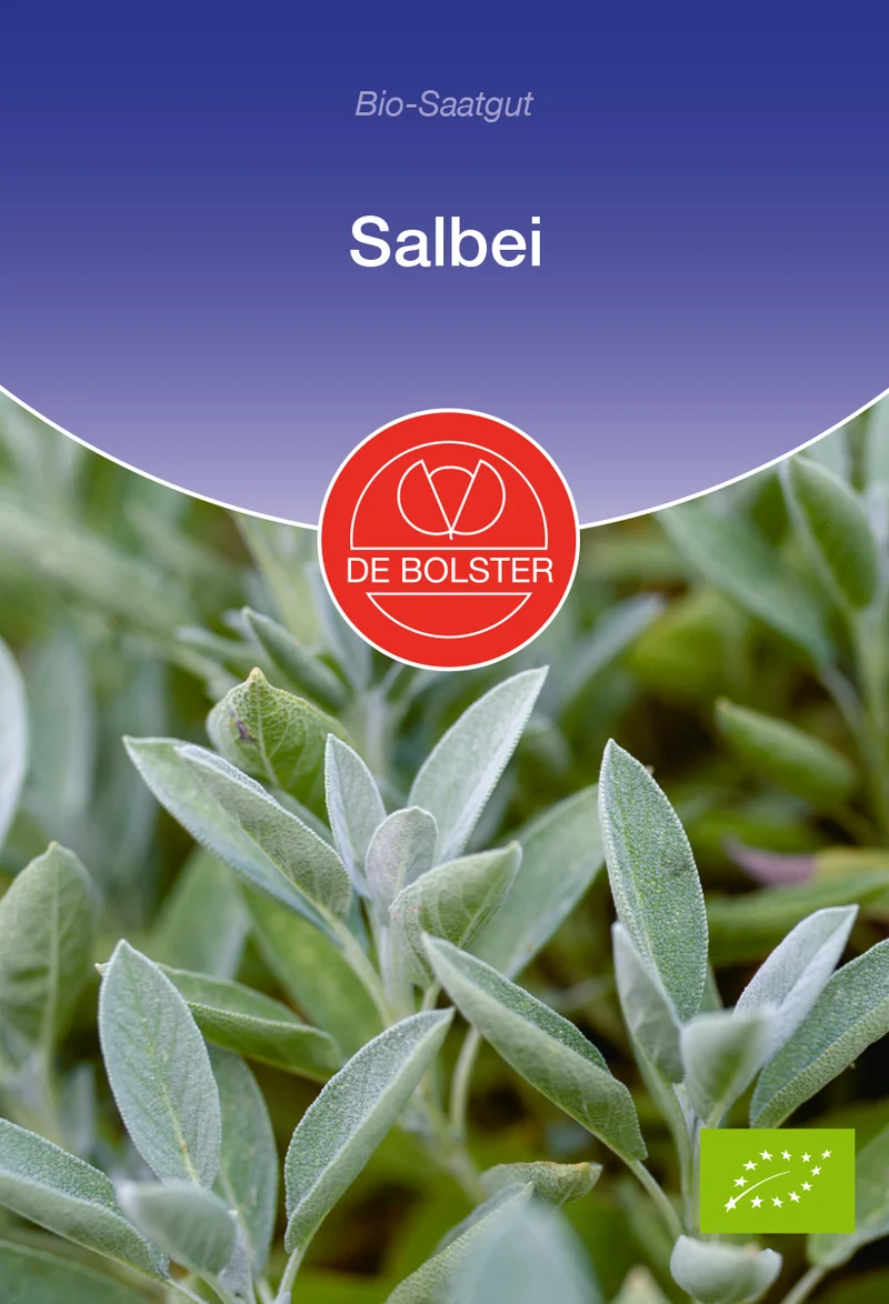 Salbei | BIO Salbeisamen von De Bolster [MHD 12/2023]