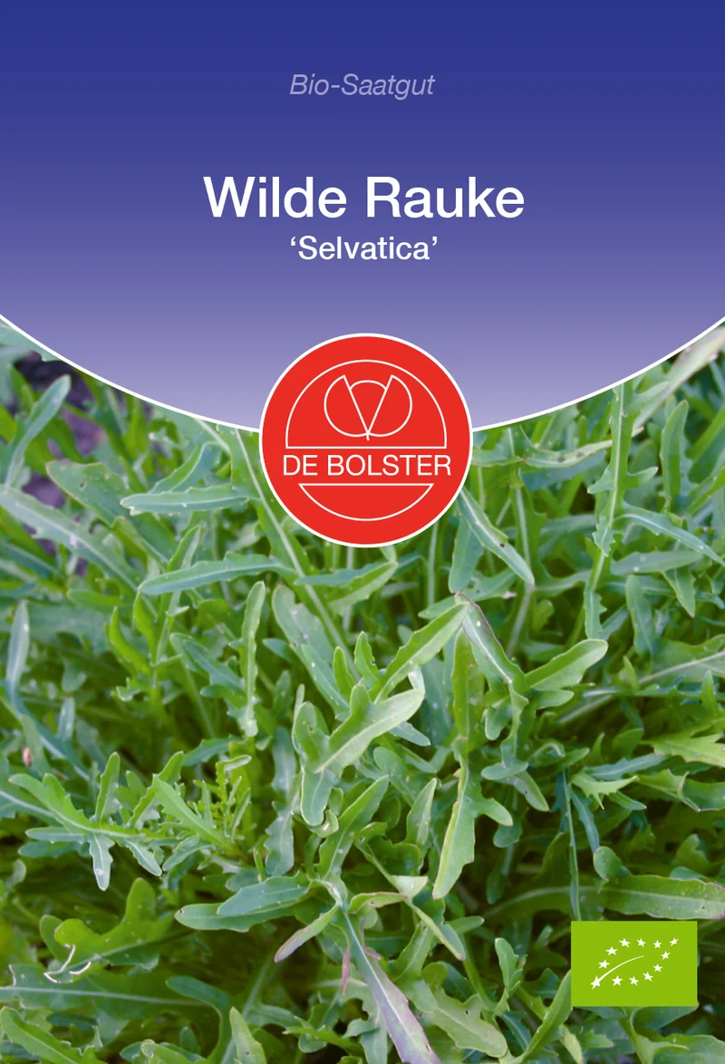 Wilde Rauke Selvatica | BIO Raukesamen von De Bolster [MHD 12/2023]