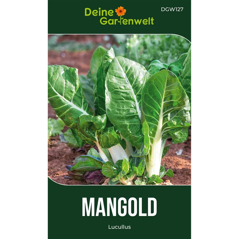 Mangold Lucullus Saatgut