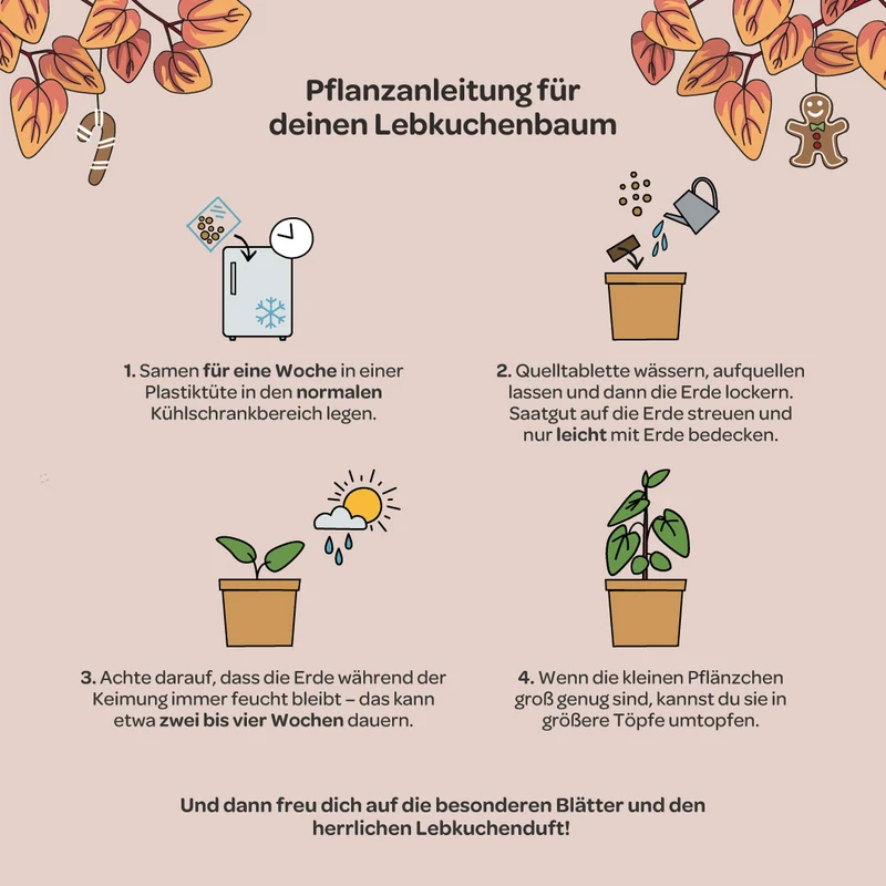 Lebkuchenbaum aus dem Becher